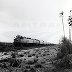 <i>Sunset Limited</i> in the New Mexico desert, 1970s.